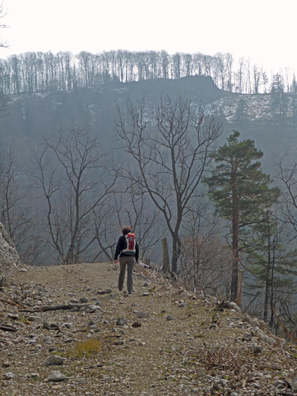 Hadeggerkogel (209 Bildaufrufe)