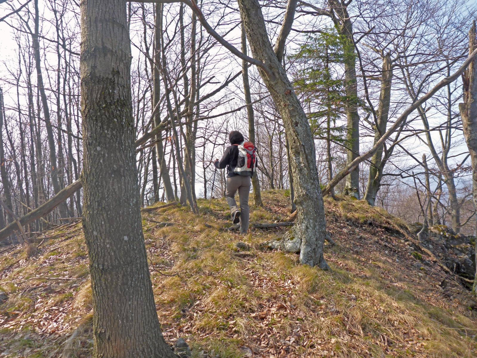 Hadeggerkogel (212 Bildaufrufe)