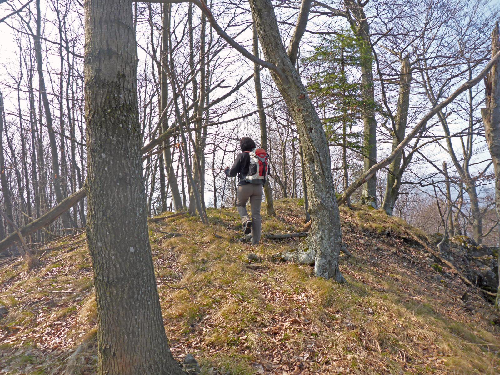 Hadeggerkogel (201 Bildaufrufe)