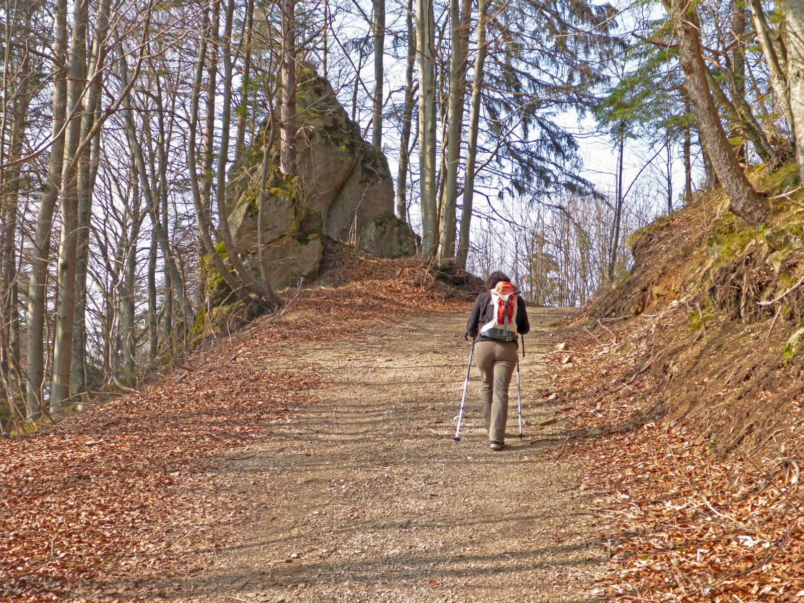 Hadeggerkogel (240 Bildaufrufe)