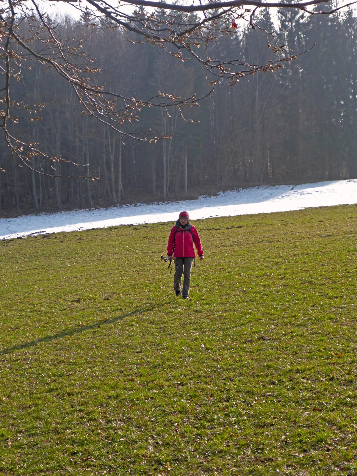 Hadeggerkogel (277 Bildaufrufe)