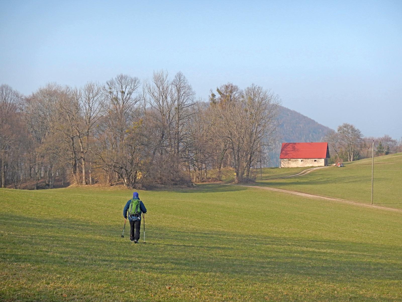 Hadeggerkogel (258 Bildaufrufe)