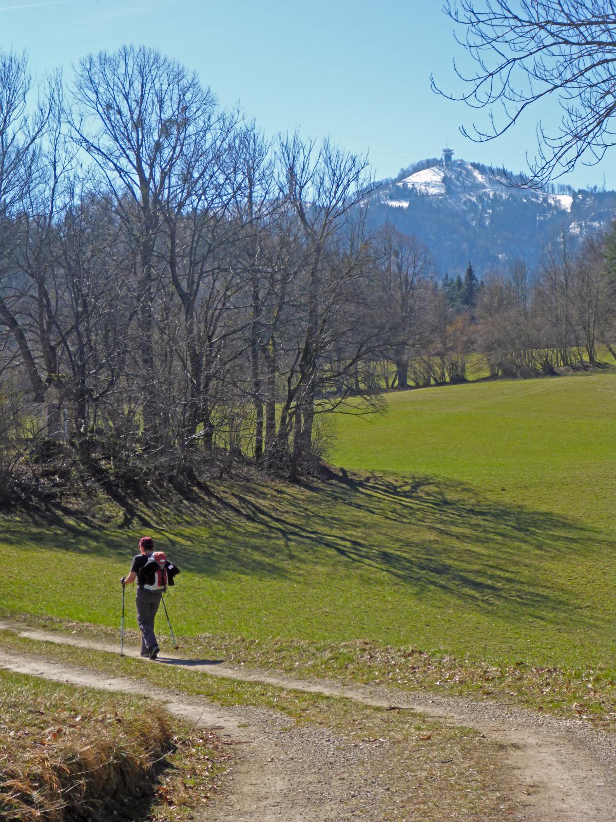 Muckenkogel (198 Bildaufrufe)
