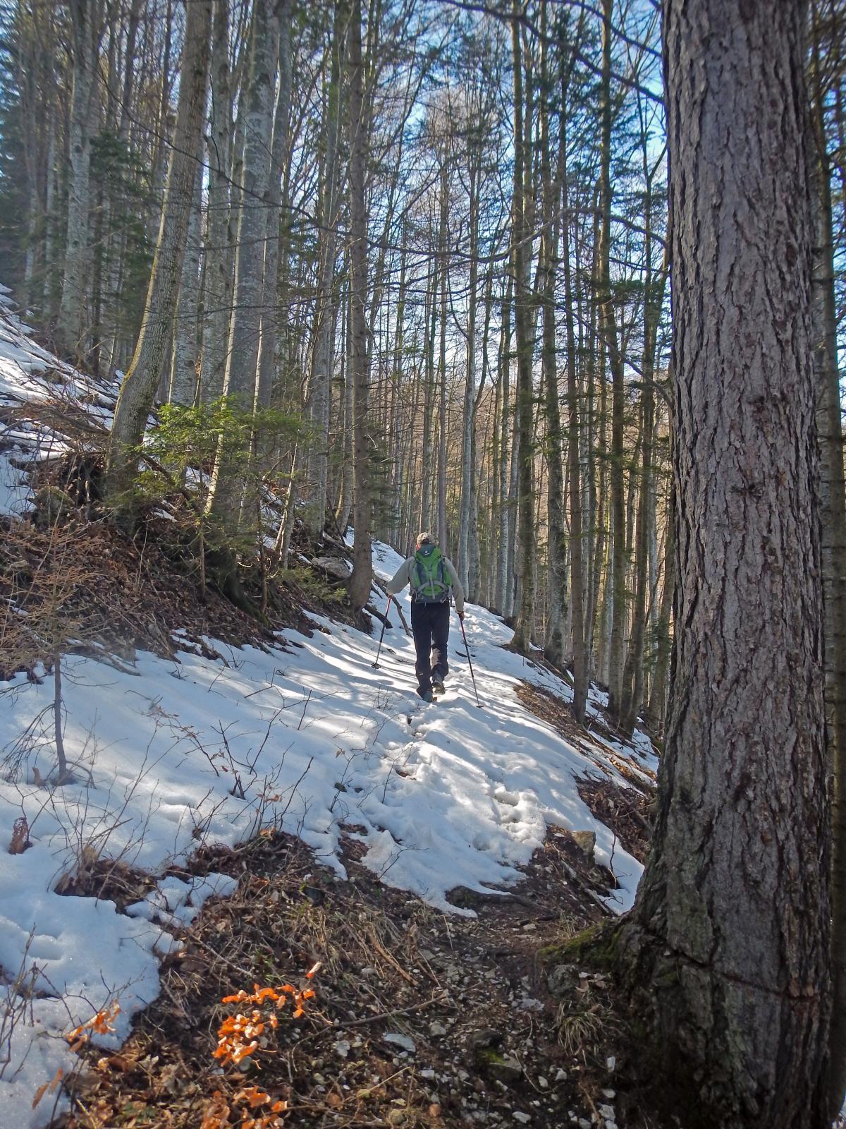 Muckenkogel (178 Bildaufrufe)