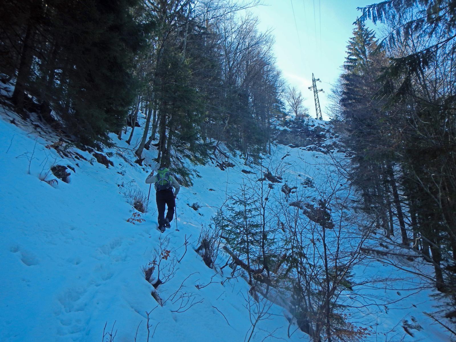 Muckenkogel (181 Bildaufrufe)