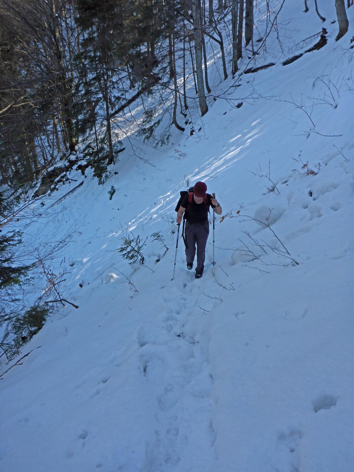 Muckenkogel (159 Bildaufrufe)