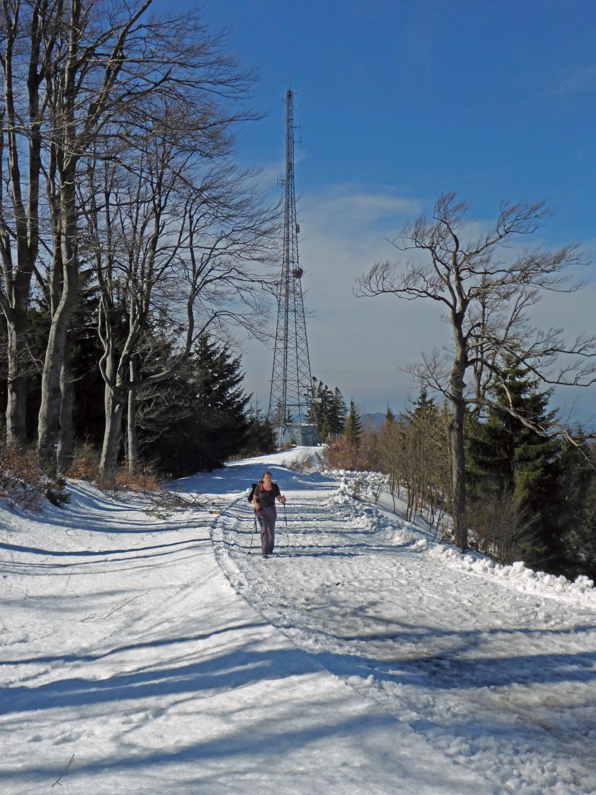 Muckenkogel (170 Bildaufrufe)