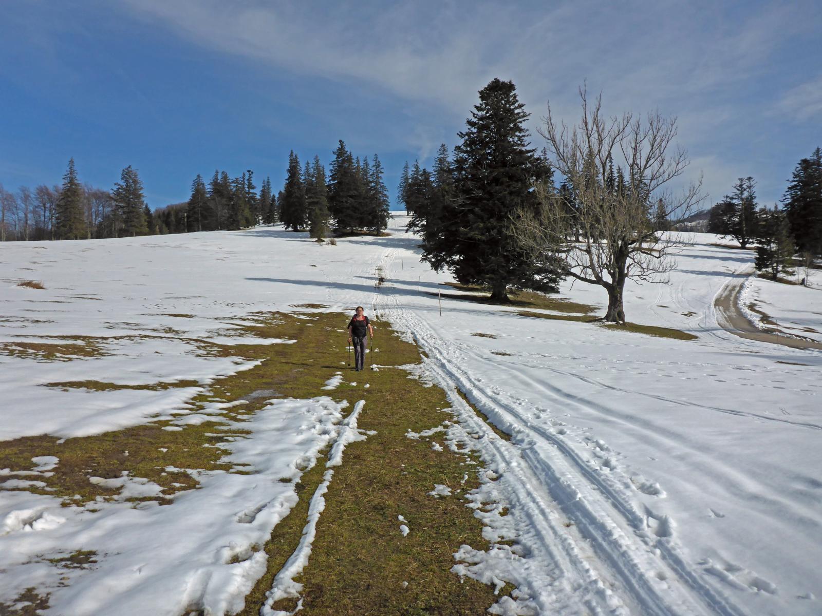 Muckenkogel (154 Bildaufrufe)