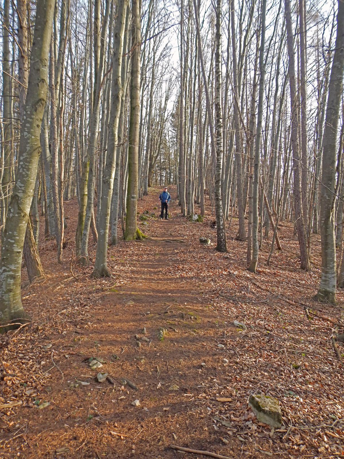 Muckenkogel (184 Bildaufrufe)