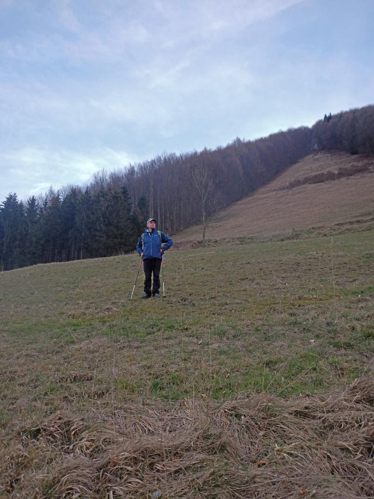 Muckenkogel (186 Bildaufrufe)