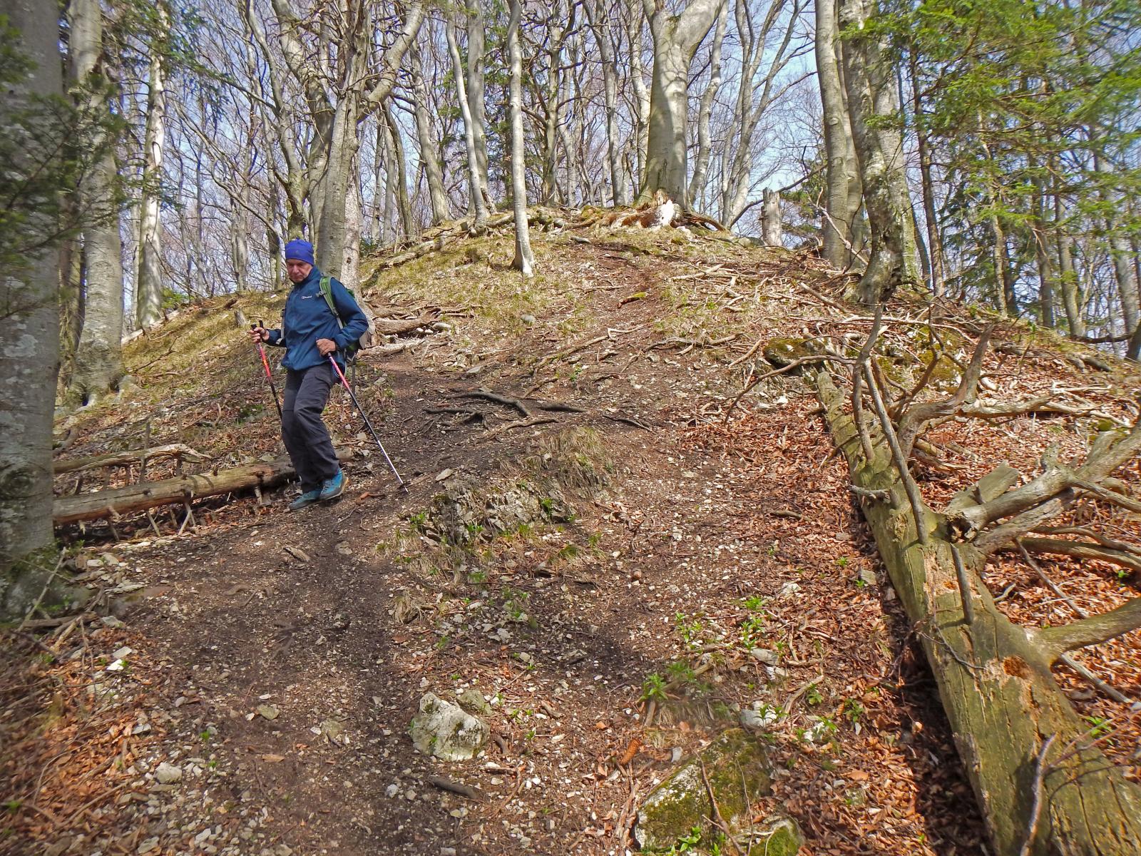 Sengenebenberg (247 Bildaufrufe)