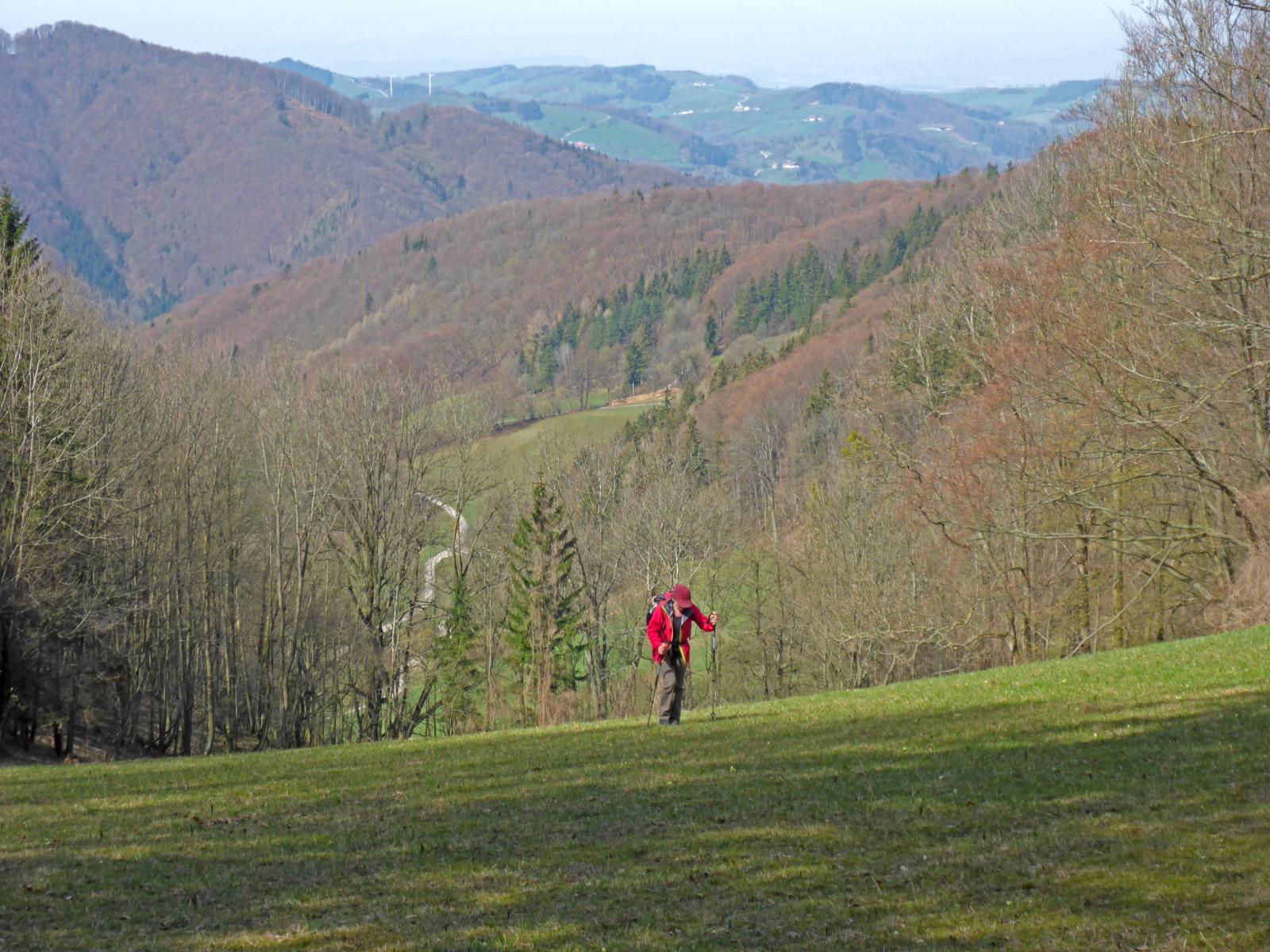 Sengenebenberg (182 Bildaufrufe)