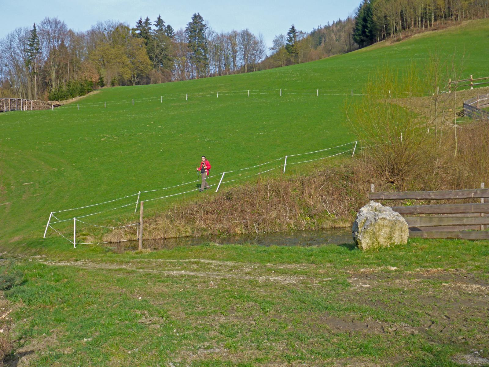 Sengenebenberg (192 Bildaufrufe)
