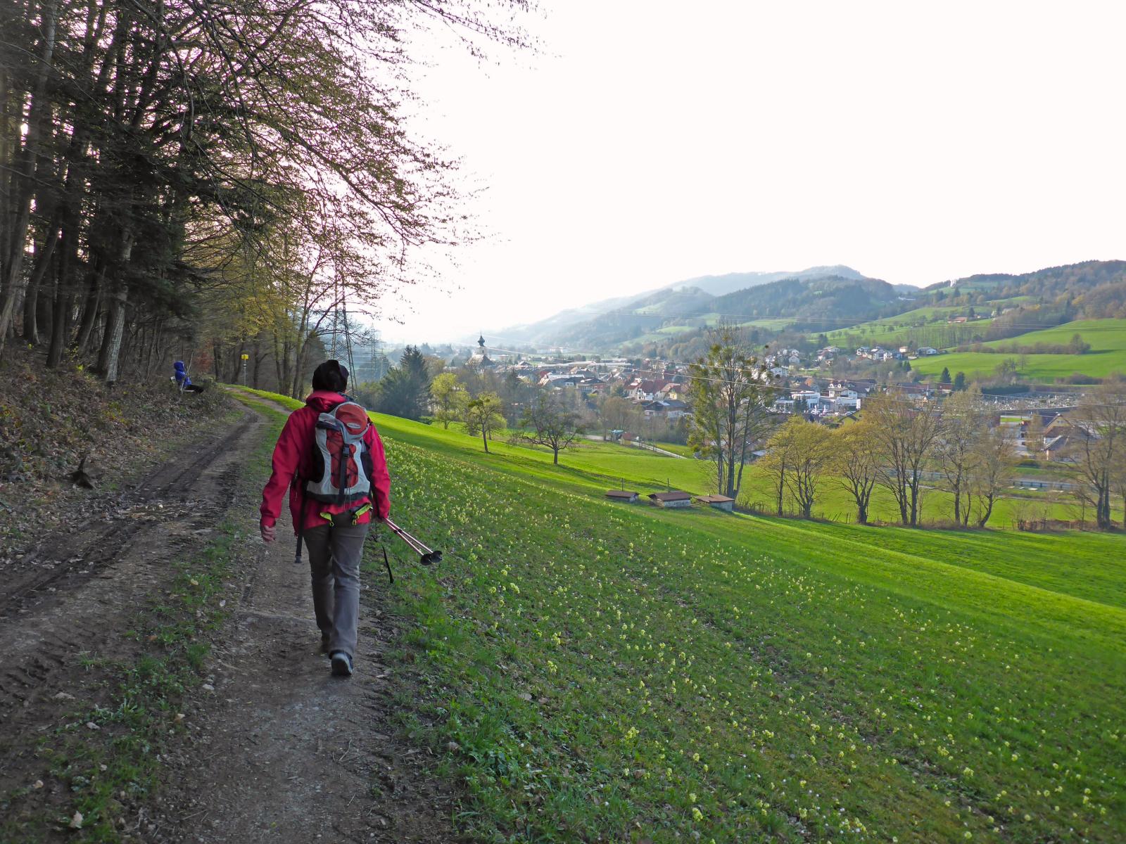 Sengenebenberg (230 Bildaufrufe)