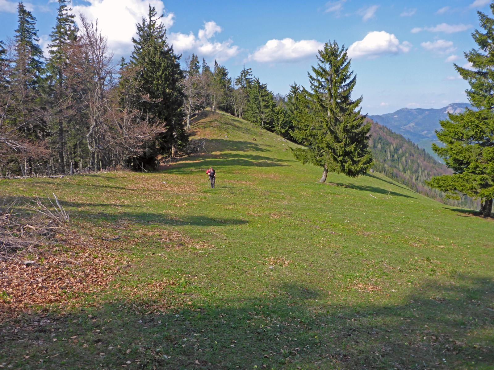 Türnitzer Höger, Traisenberg (211 Bildaufrufe)