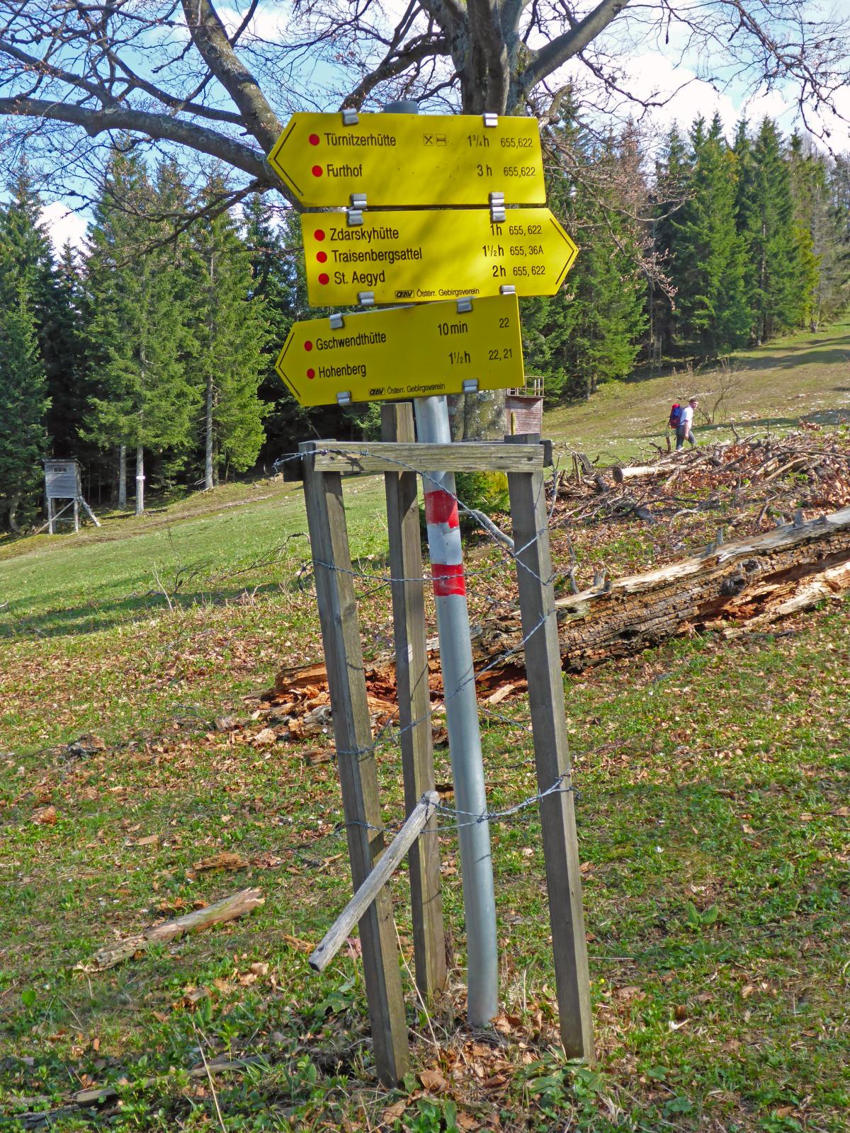 Türnitzer Höger, Traisenberg (245 Bildaufrufe)