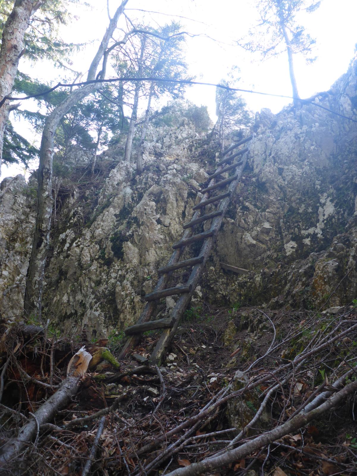 Türnitzer Höger, Traisenberg (295 Bildaufrufe)