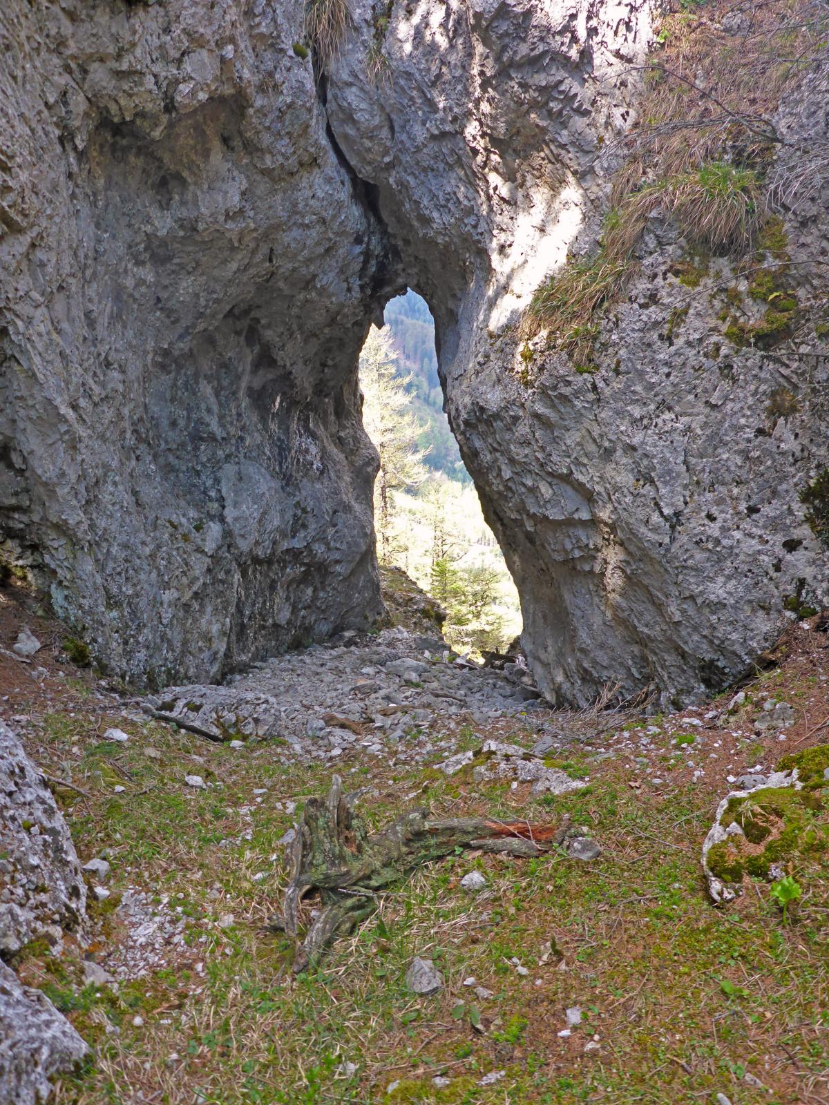 Türnitzer Höger, Traisenberg (211 Bildaufrufe)