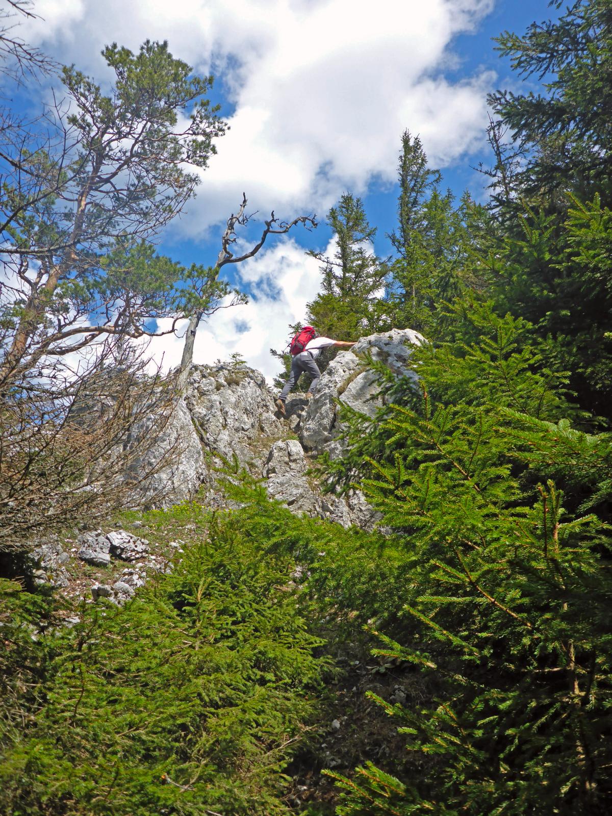 Türnitzer Höger, Traisenberg (233 Bildaufrufe)