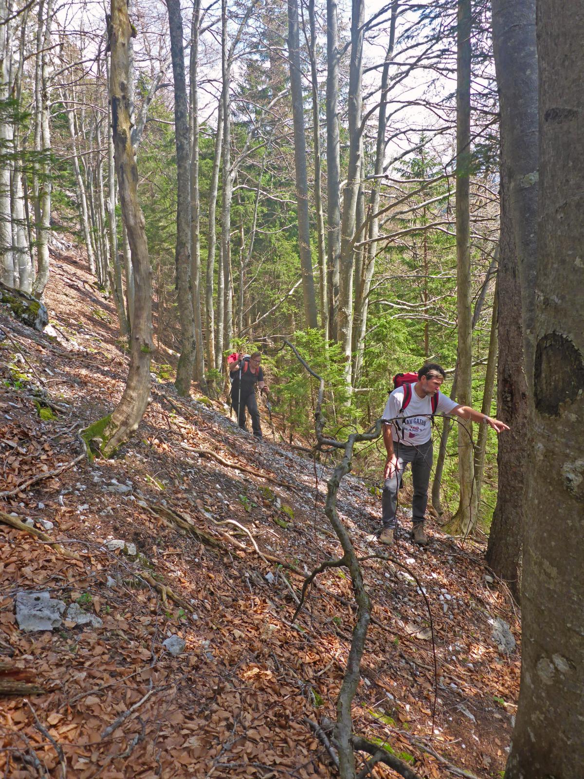 Türnitzer Höger, Traisenberg (165 Bildaufrufe)