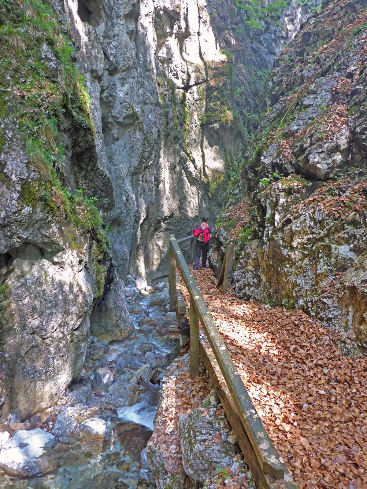 Türnitzer Höger, Traisenberg (276 Bildaufrufe)