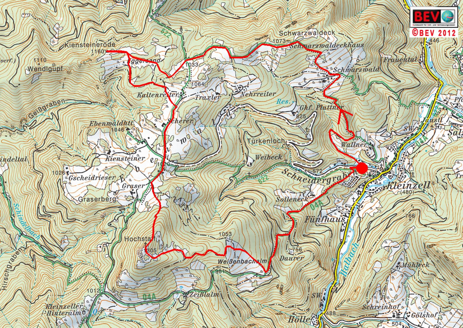 Ebenwald (227 Bildaufrufe)