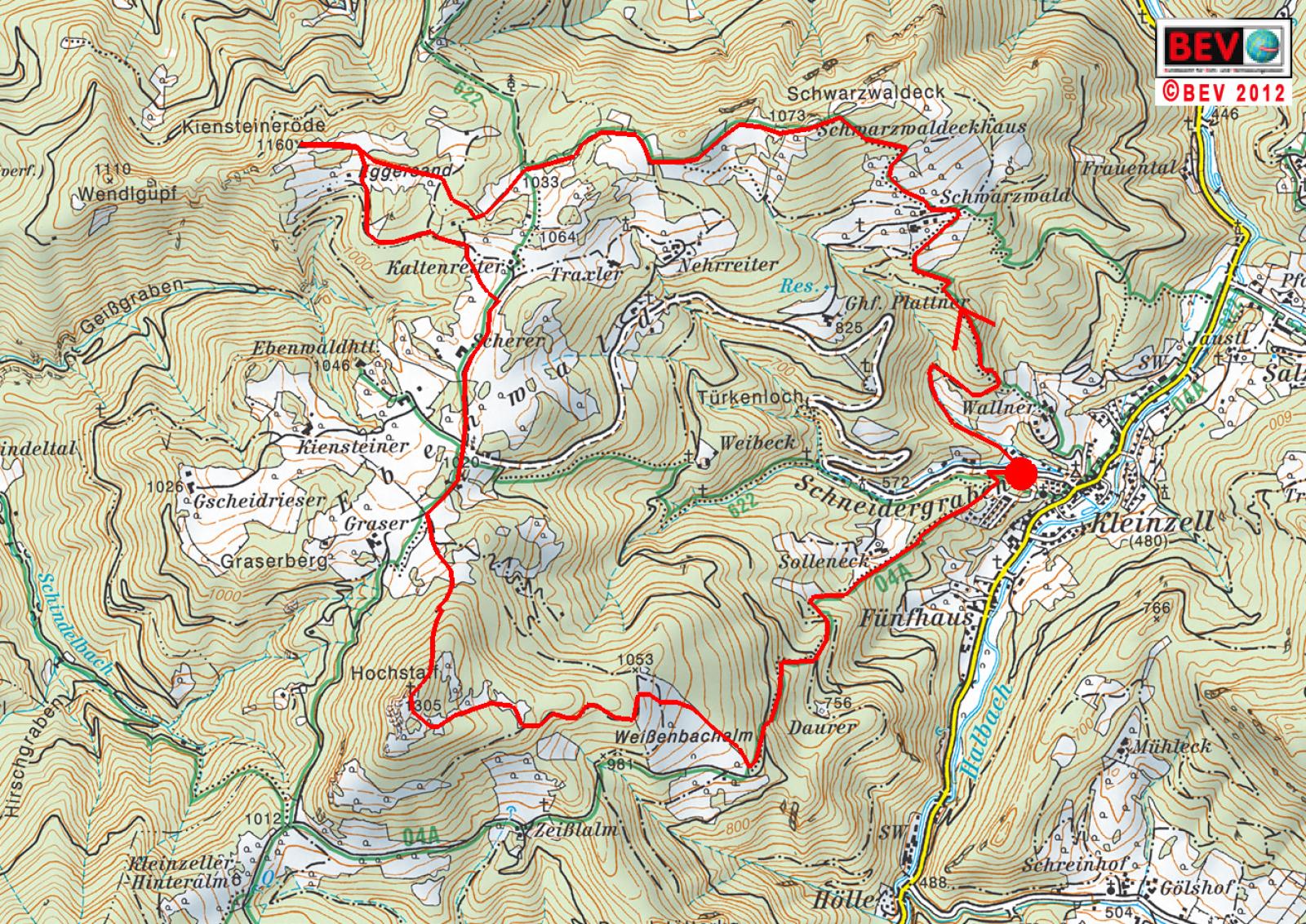 Ebenwald (219 Bildaufrufe)