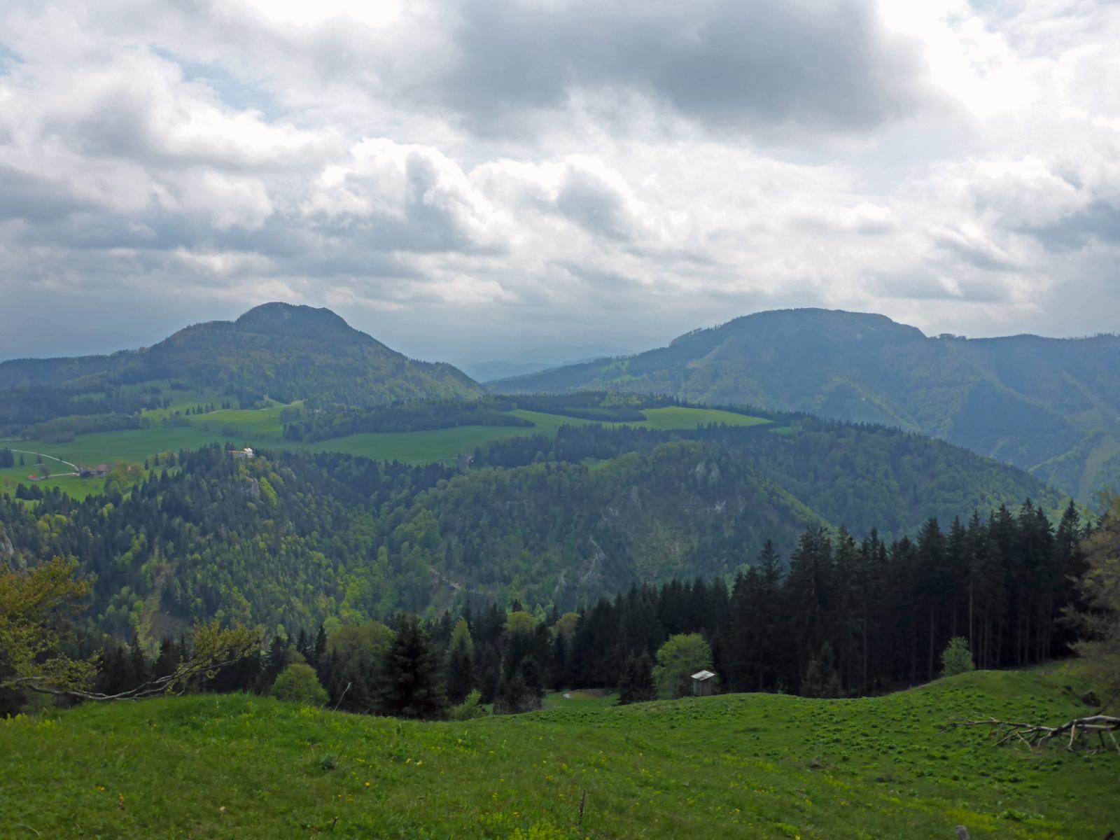 Ebenwald (213 Bildaufrufe)