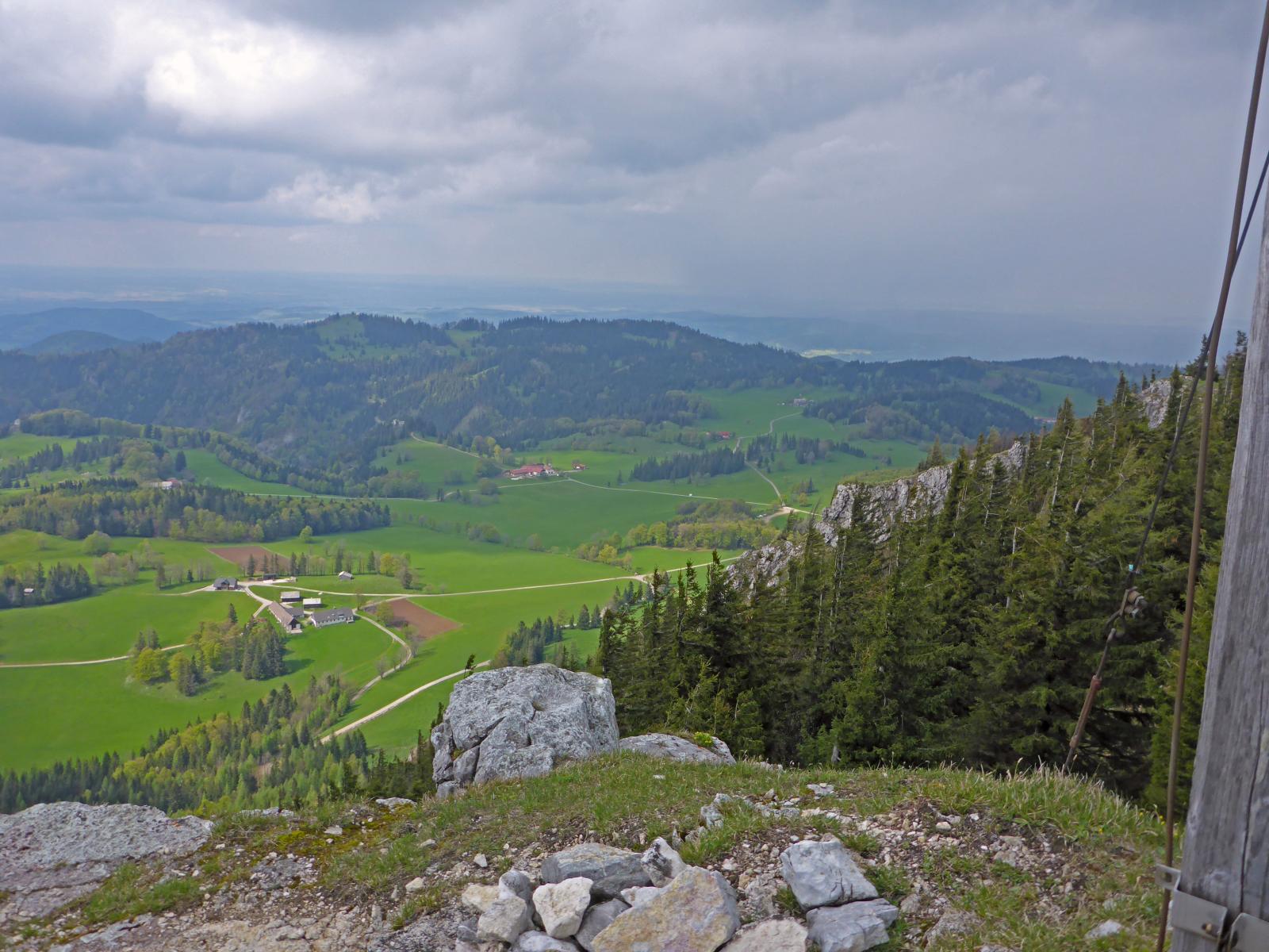 Ebenwald (203 Bildaufrufe)