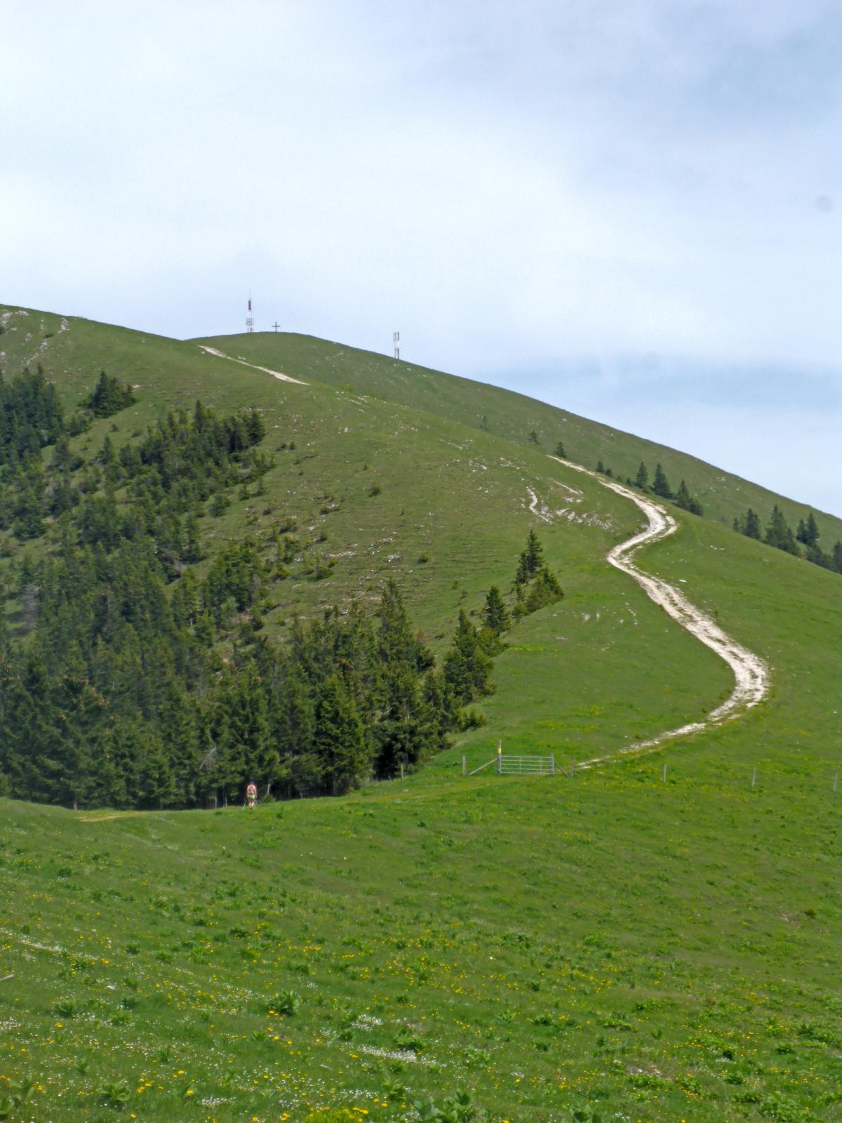 Wildalpe (261 Bildaufrufe)