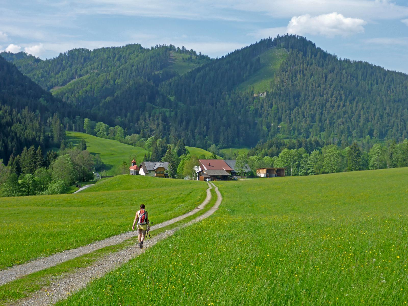 Wildalpe (225 Bildaufrufe)