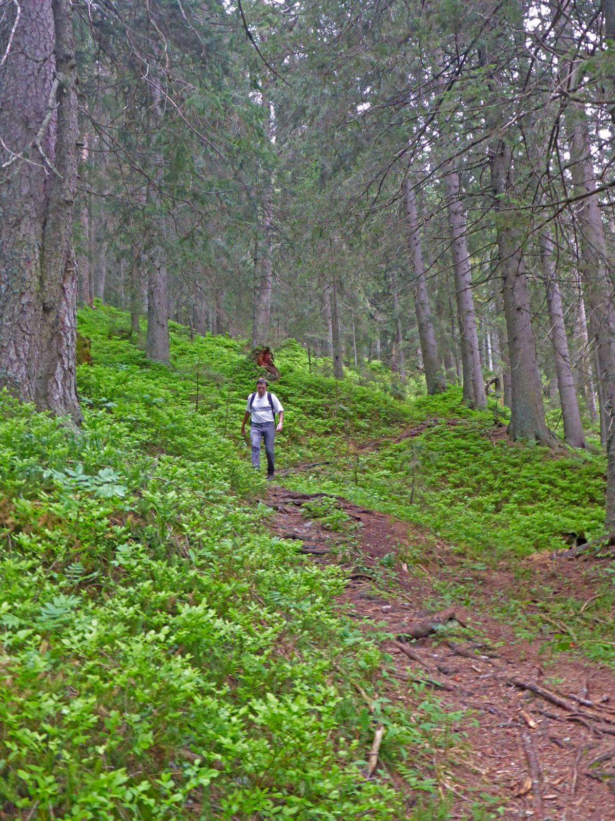 Hohe Veitsch (185 Bildaufrufe)