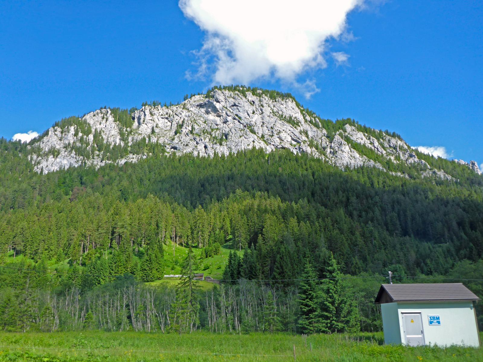 Spielmäuer (215 Bildaufrufe)