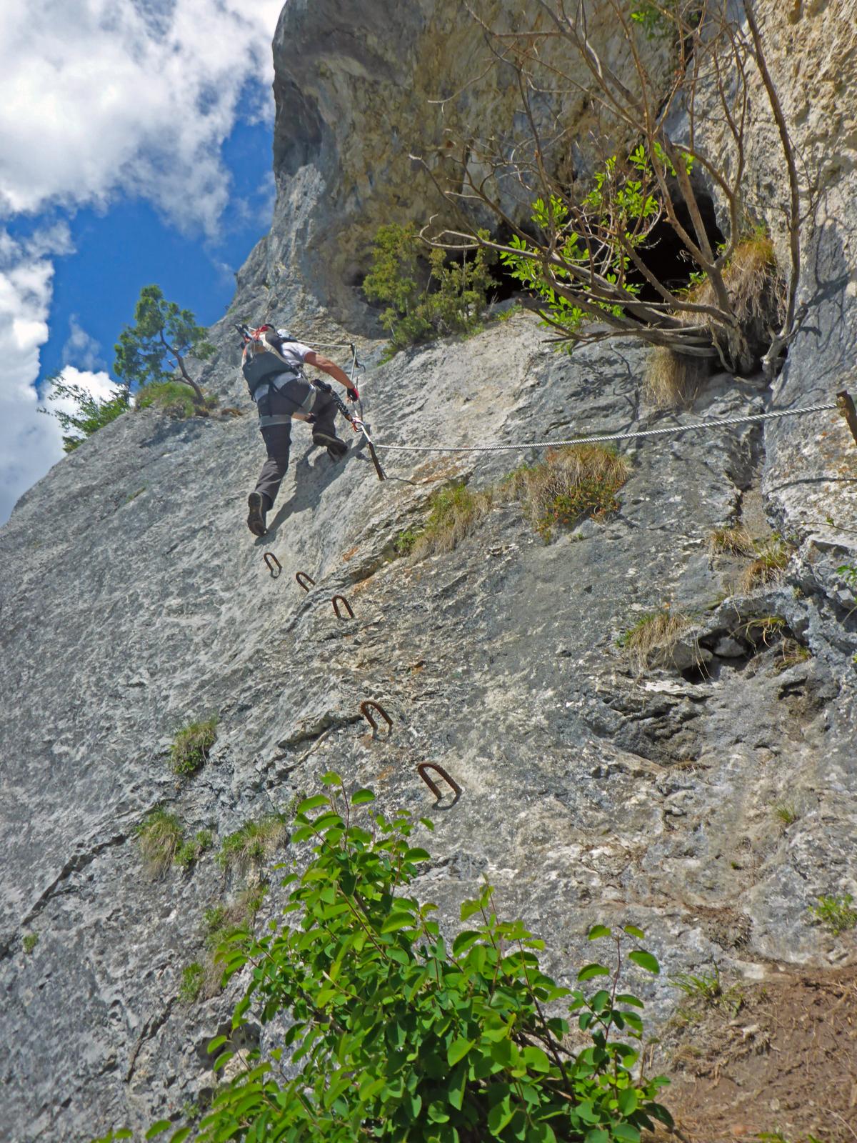 Spielmäuer (250 Bildaufrufe)