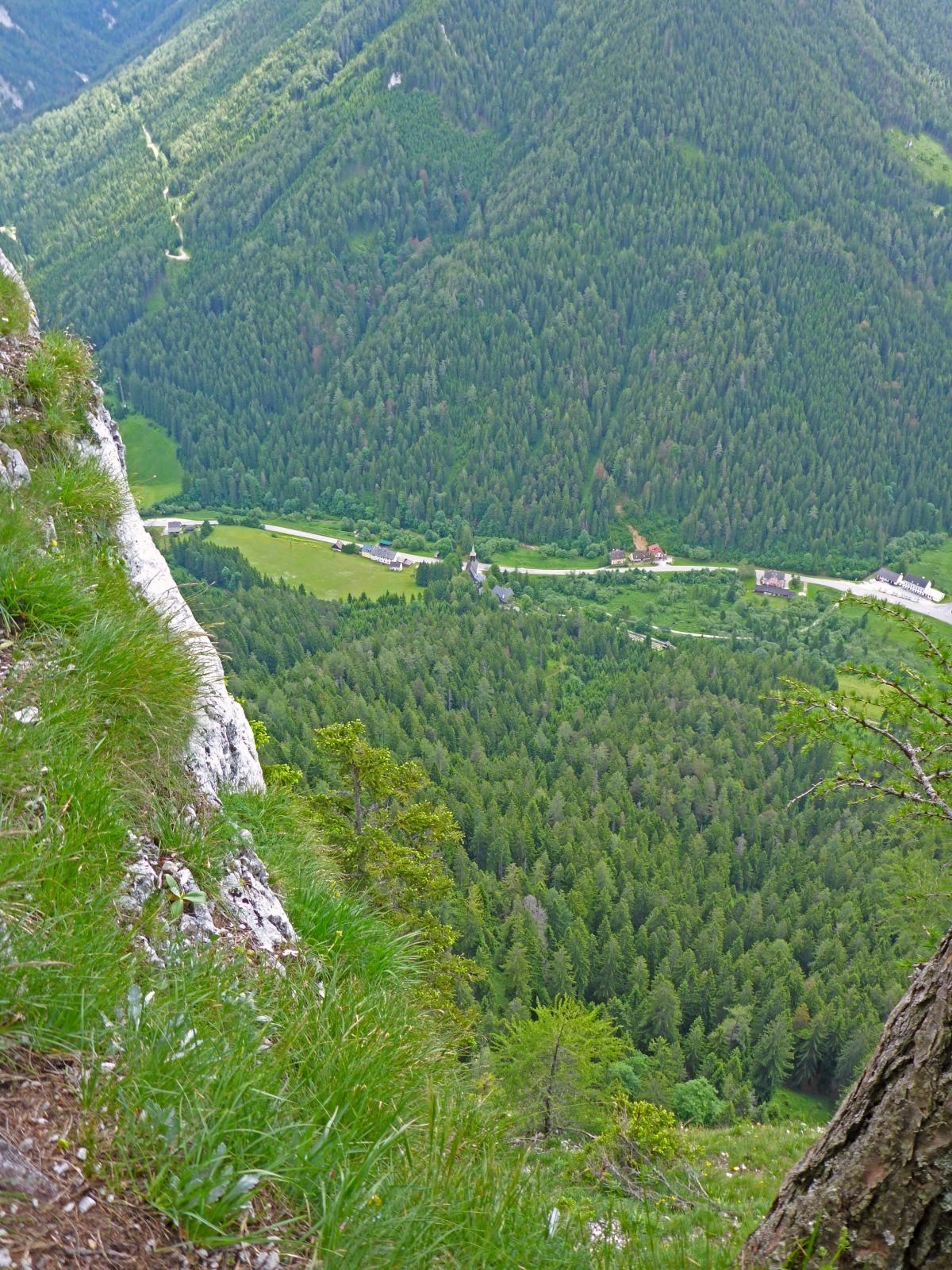 Spielmäuer (205 Bildaufrufe)