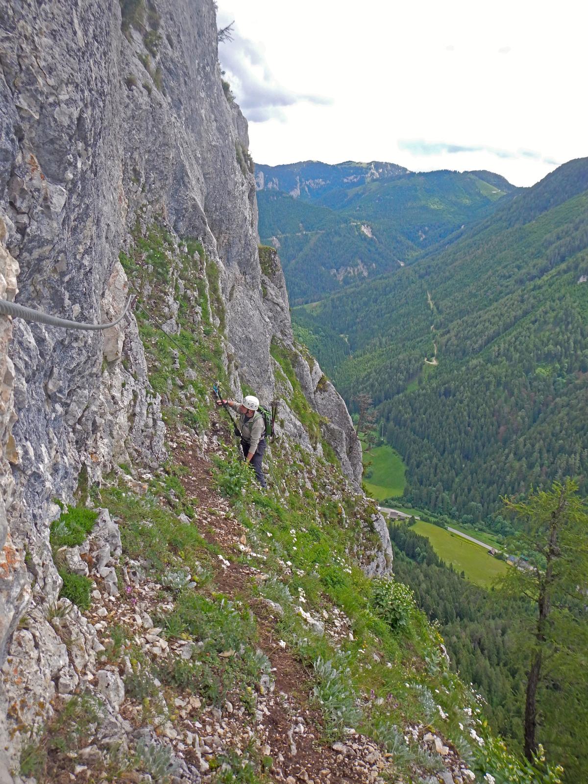 Spielmäuer (237 Bildaufrufe)