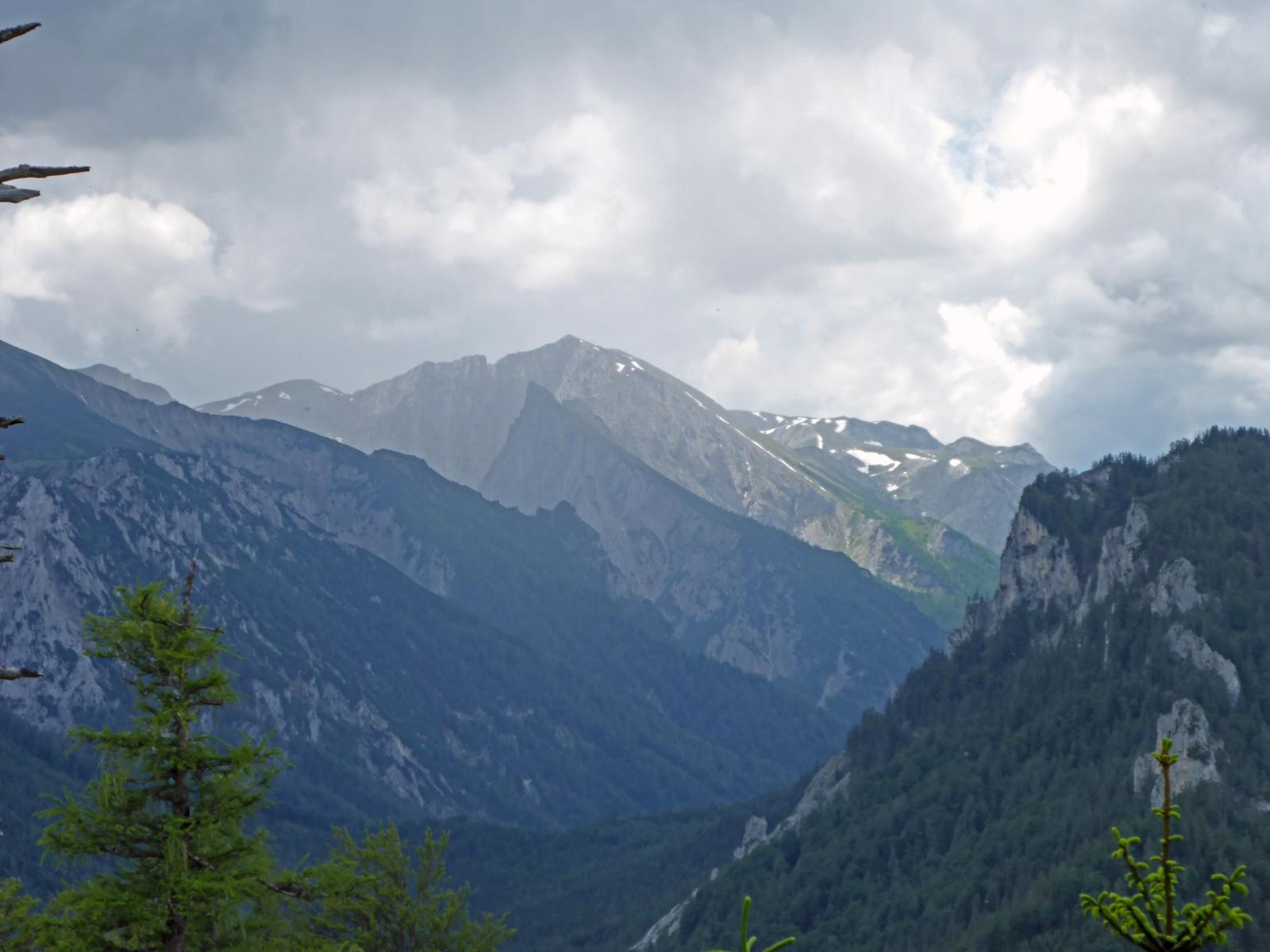 Spielmäuer (218 Bildaufrufe)