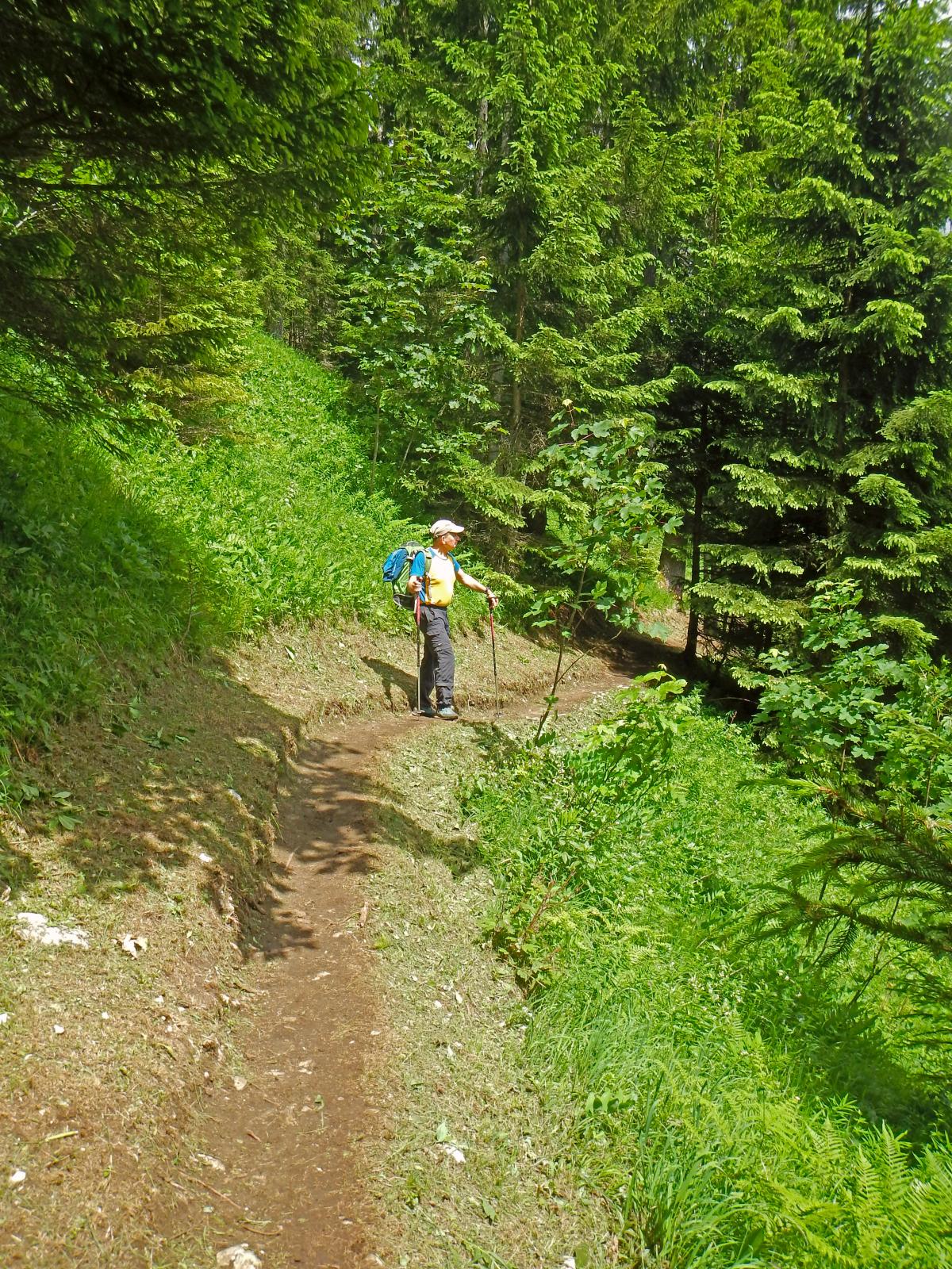 Spielmäuer (207 Bildaufrufe)