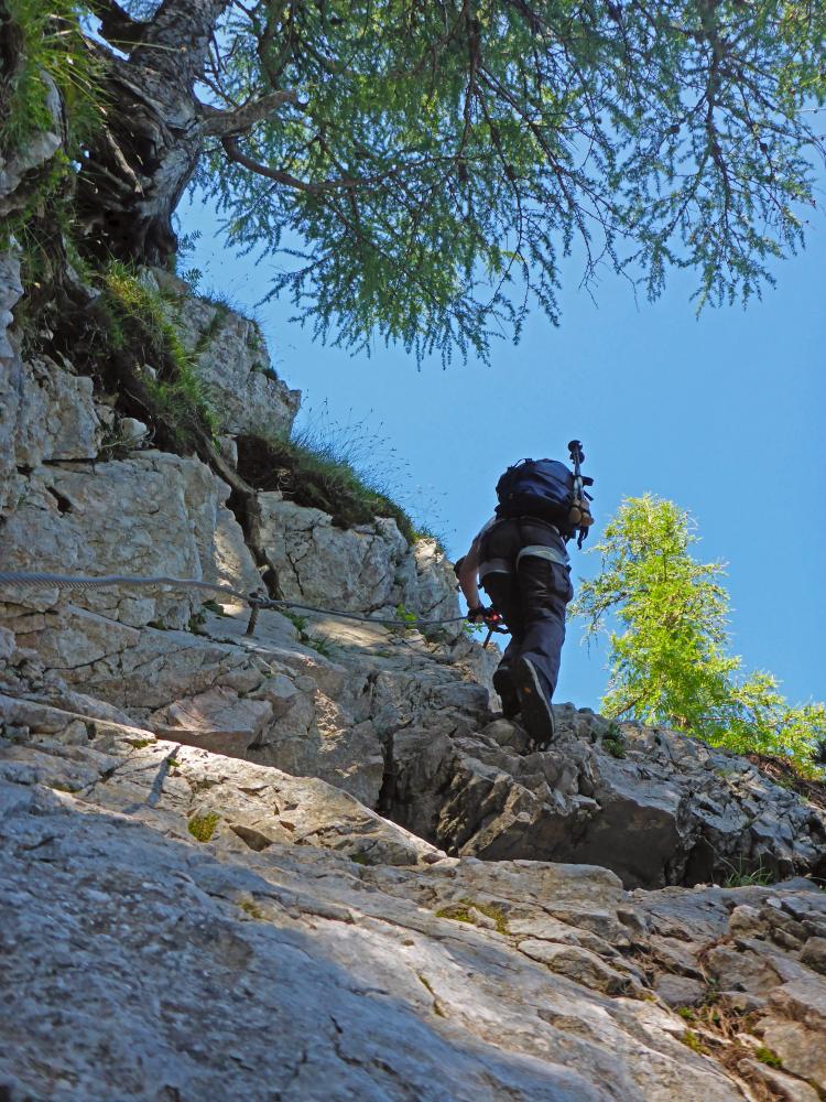 Hochstuhl (218 Bildaufrufe)