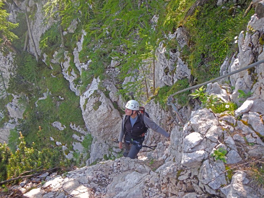 Hochstuhl (175 Bildaufrufe)