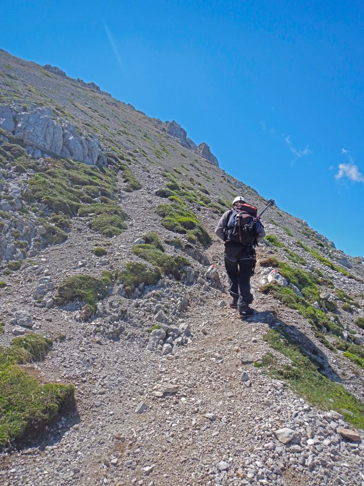 Hochstuhl (204 Bildaufrufe)