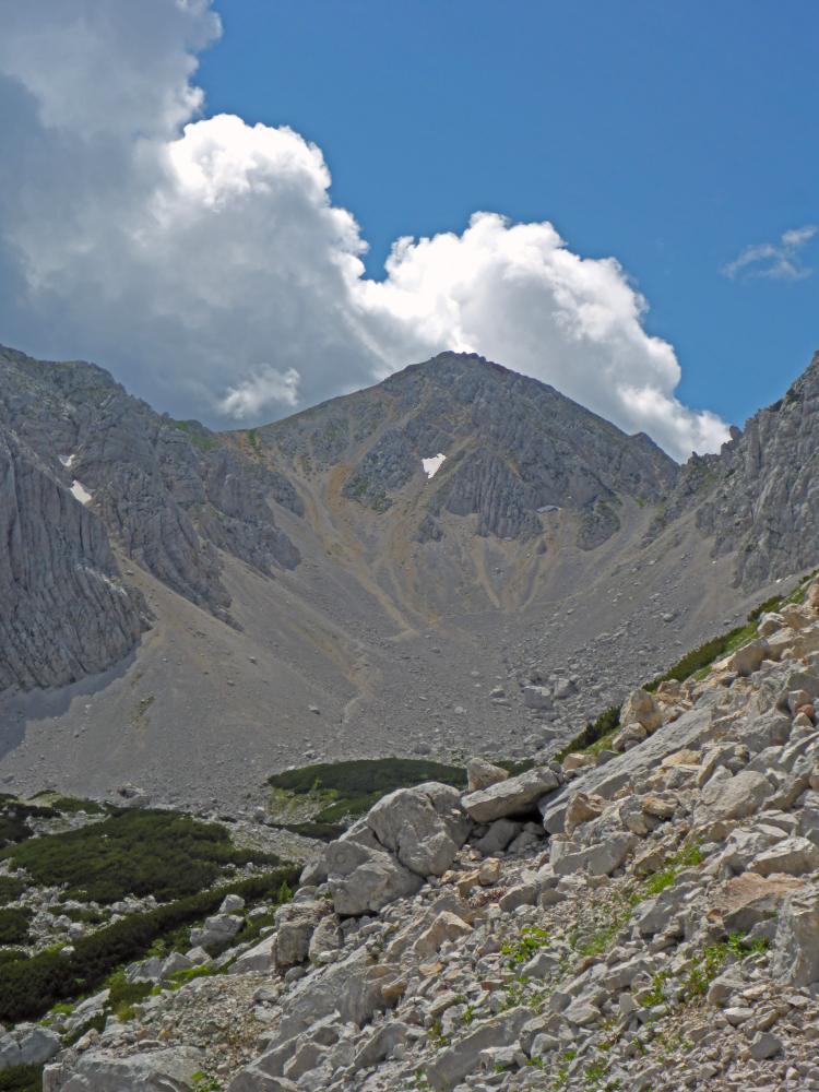 Hochstuhl (175 Bildaufrufe)