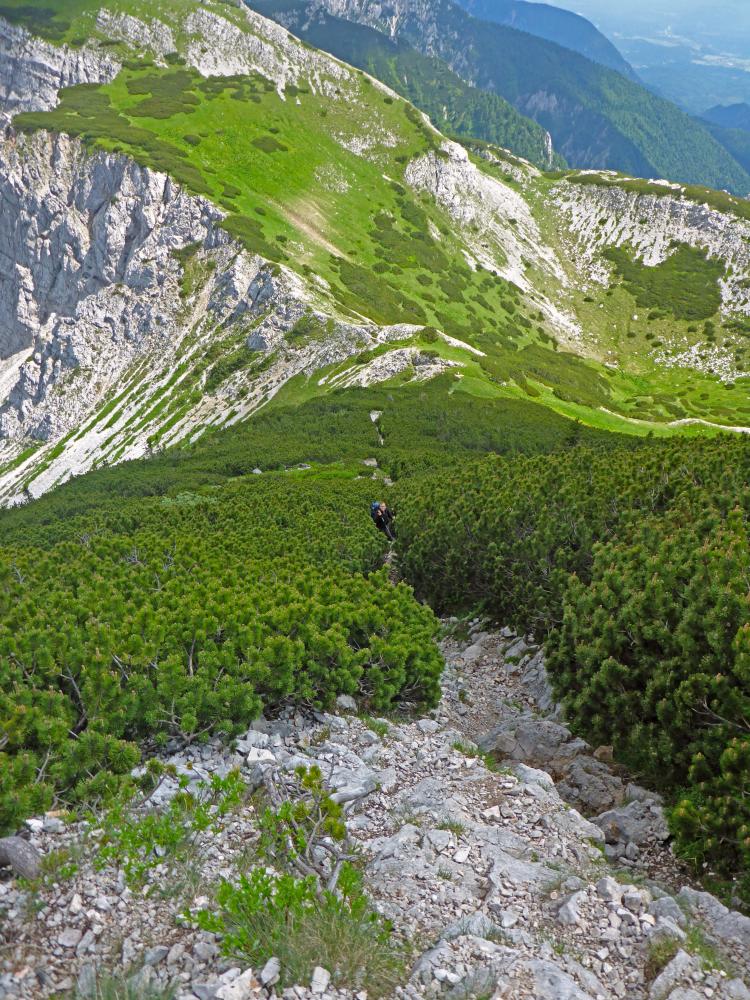 Hochstuhl (176 Bildaufrufe)