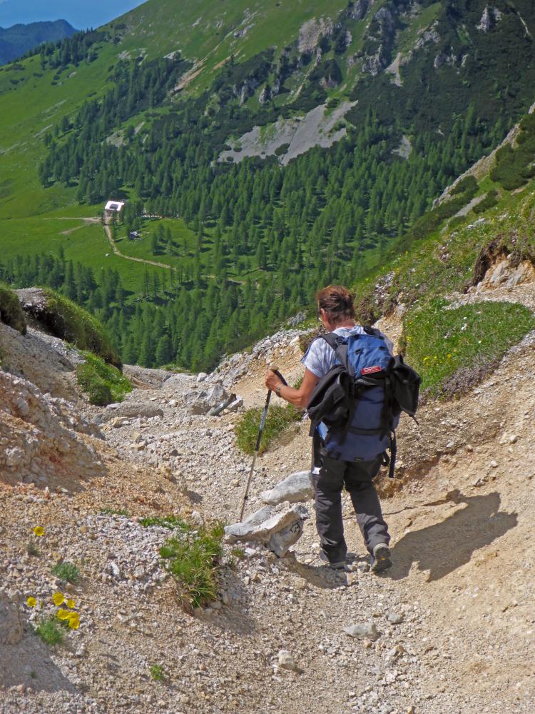 Hochstuhl (147 Bildaufrufe)