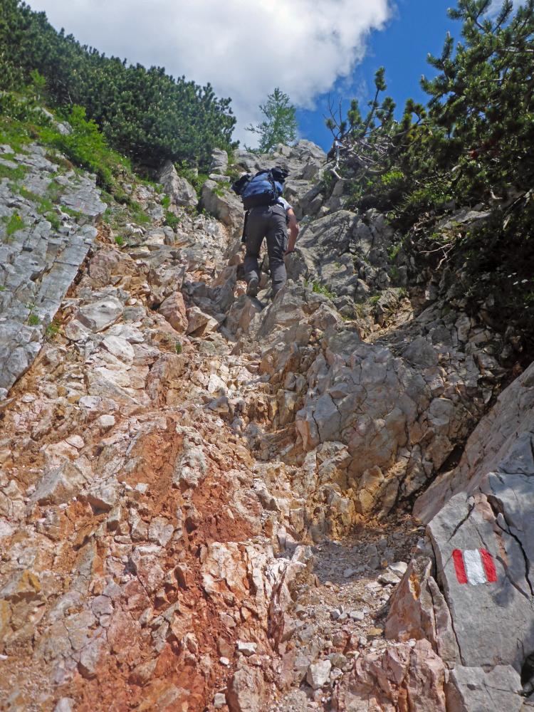 Hochstuhl (144 Bildaufrufe)