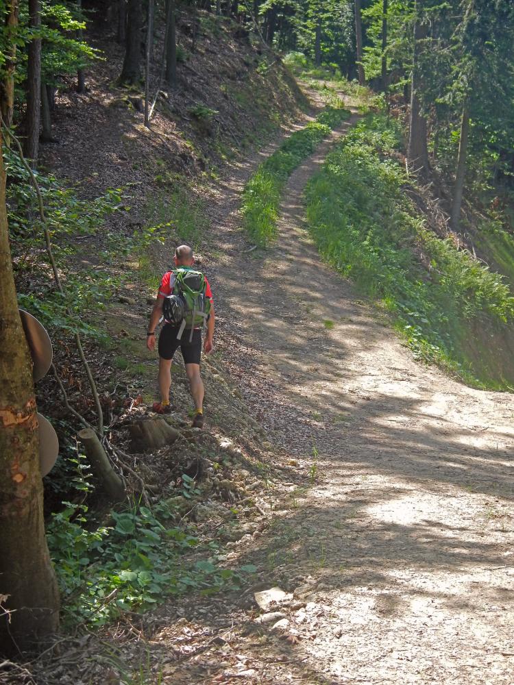 Kitzelsberg (169 Bildaufrufe)
