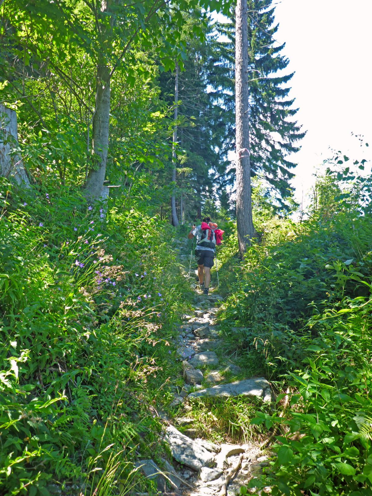 Hochwechsel, Niederwechsel (223 Bildaufrufe)
