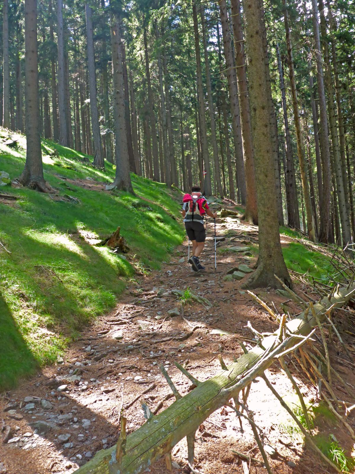 Hochwechsel, Niederwechsel (303 Bildaufrufe)