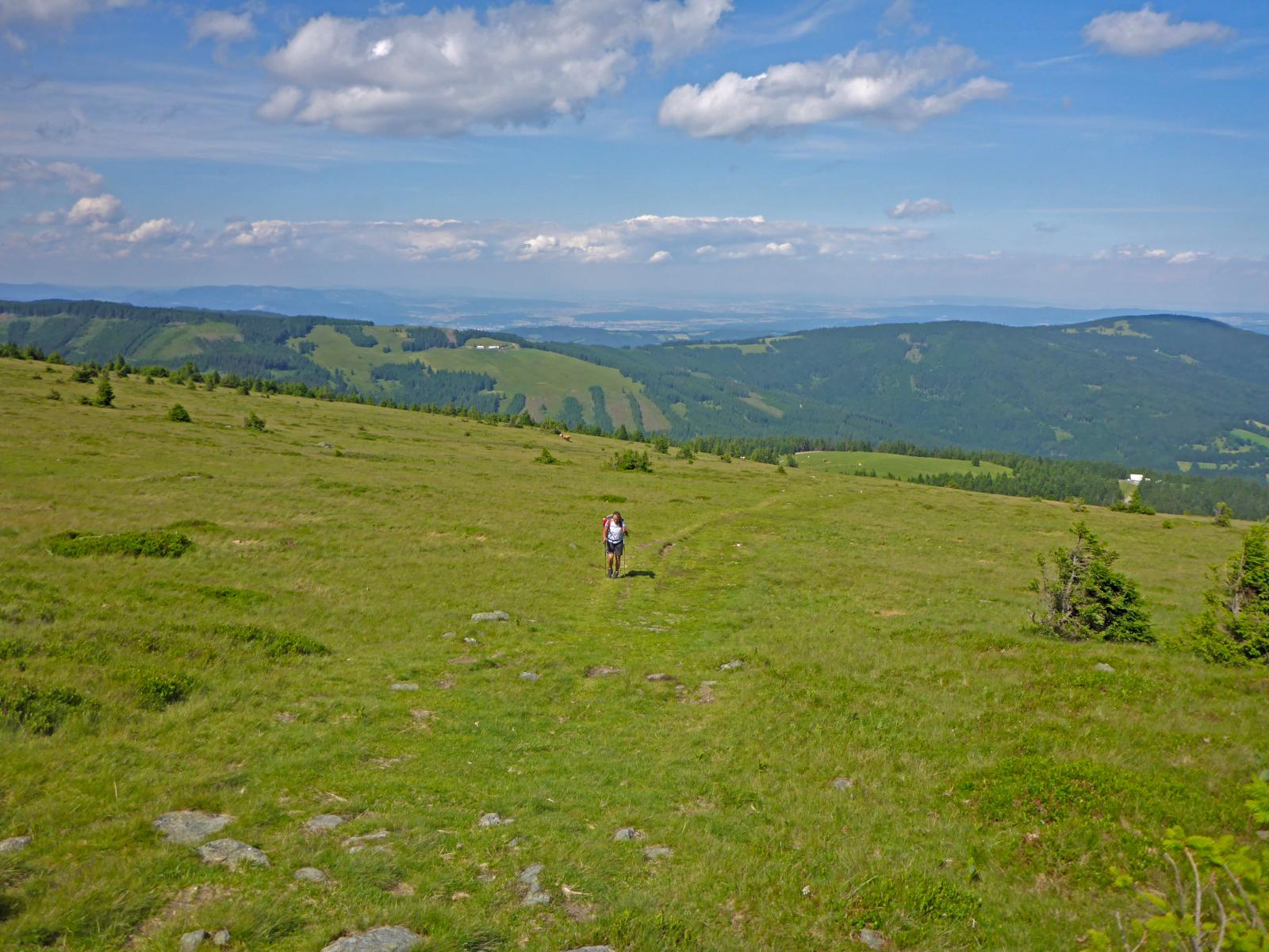 Hochwechsel, Niederwechsel (231 Bildaufrufe)