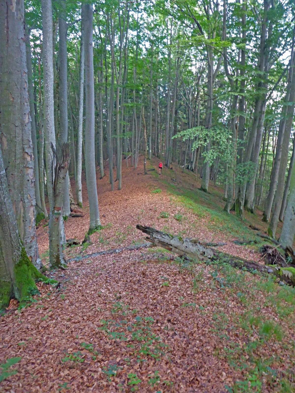 Pechberg (182 Bildaufrufe)
